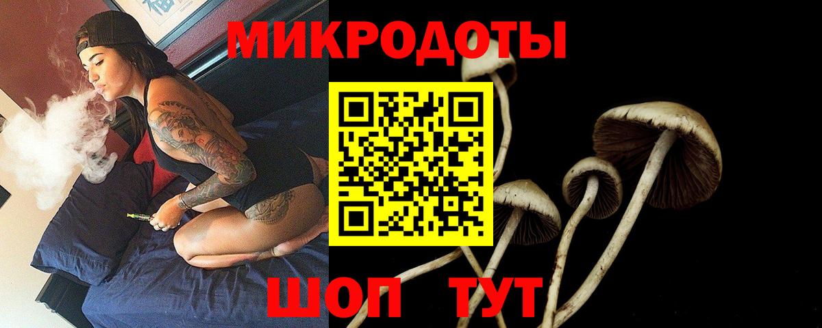 Псилоцибиновые грибы мицелий  дарнет шоп  Балтийск  Вход с VPN 